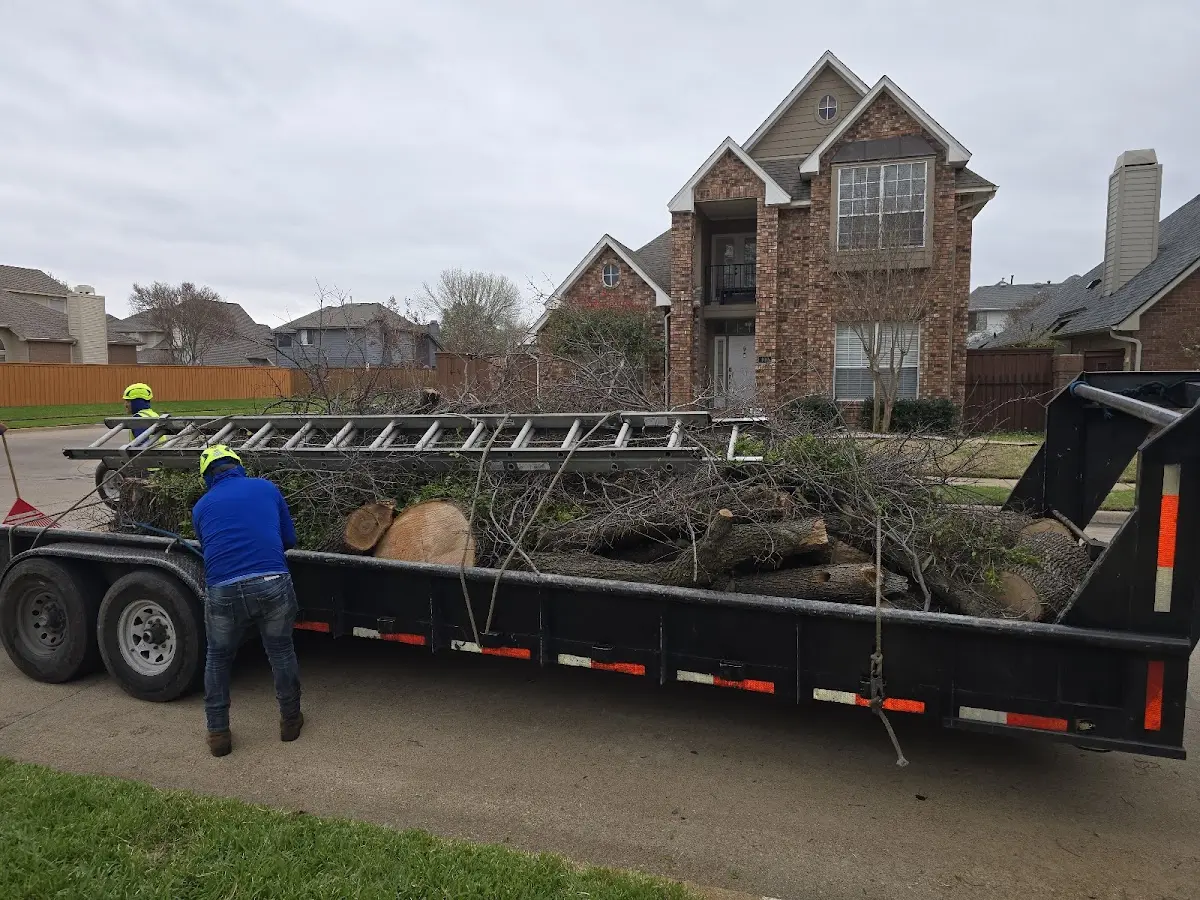 Expert Tree Pest Control with proper safety equipment in Windsor Heights
